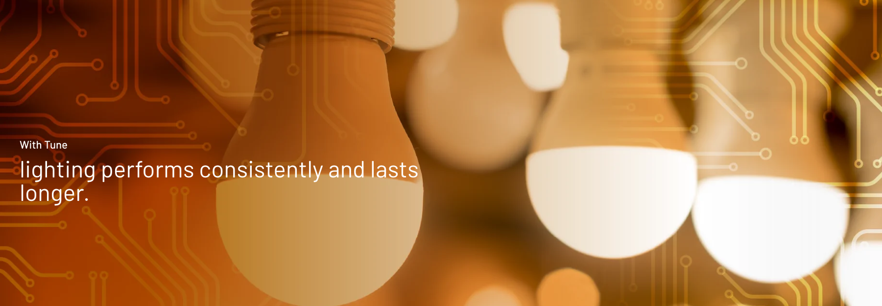 Glowing light bulbs: with Tune, lighting performs consistently and lasts longer